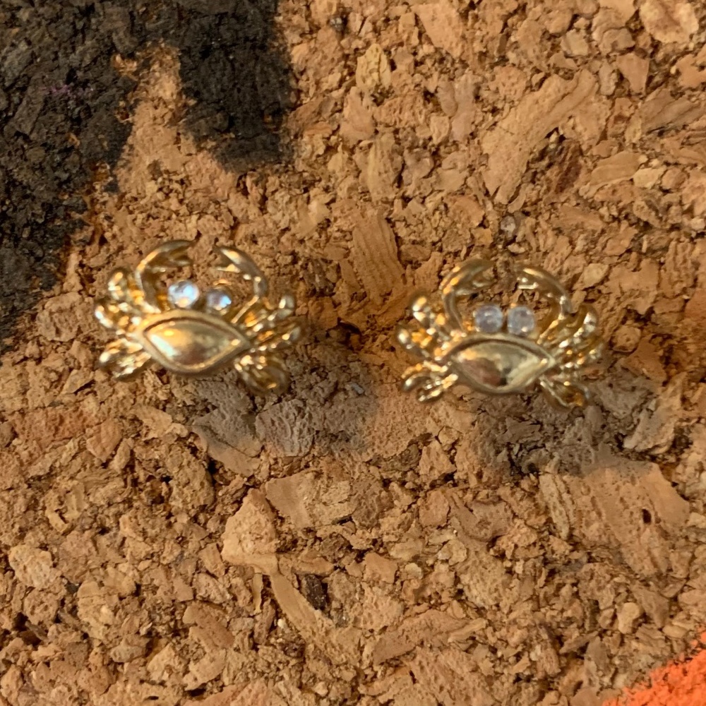 Ocean Earrings *Bundle*